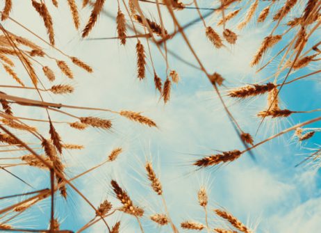 Fortior Law (Україна) стала членом Gafta