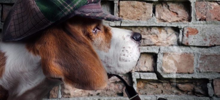 «Собака, которая не лает»: когда молчание приводит к ликвидации компании