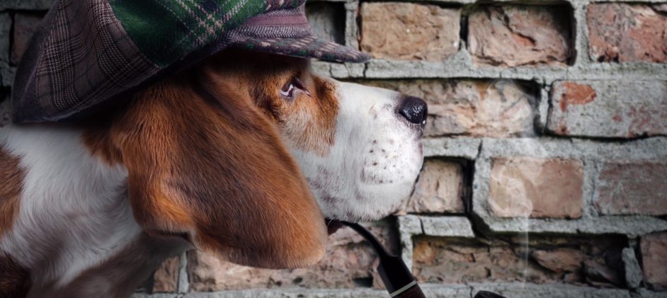 The Dog That Did Not Bark: When Silence Contributes to Winding-Up