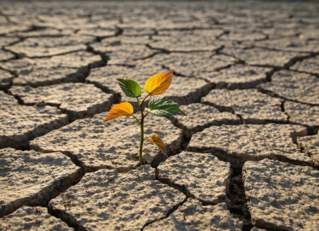 Так ли все безнадежно?