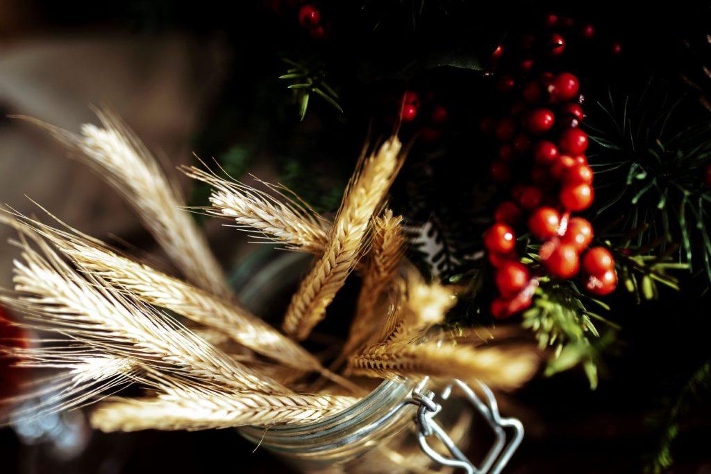 Изменения правил и стандартных контрактов GAFTA 2022 года