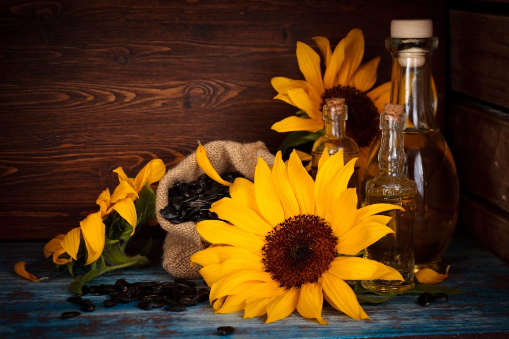 What should a FOB seller do when goods were unloaded without payment? (Part 2)