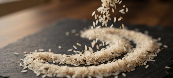 GAFTA Rice Contracts No. 120 and No. 122: What Has Changed
